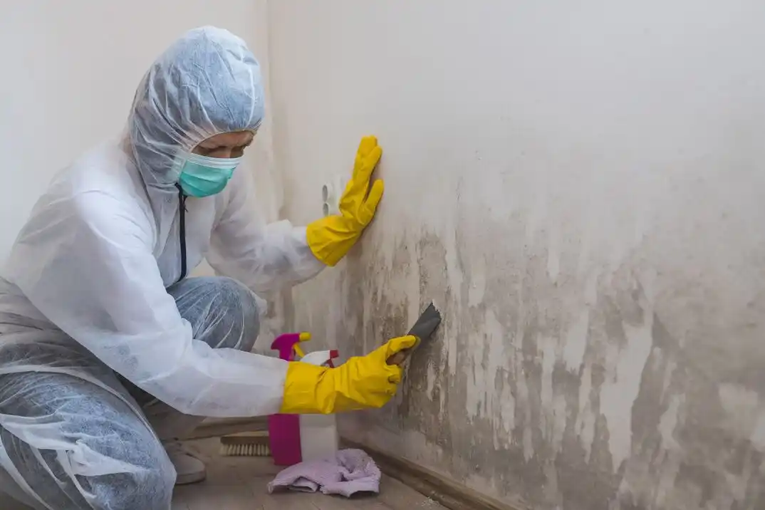 water damage restoration service Wraggborough